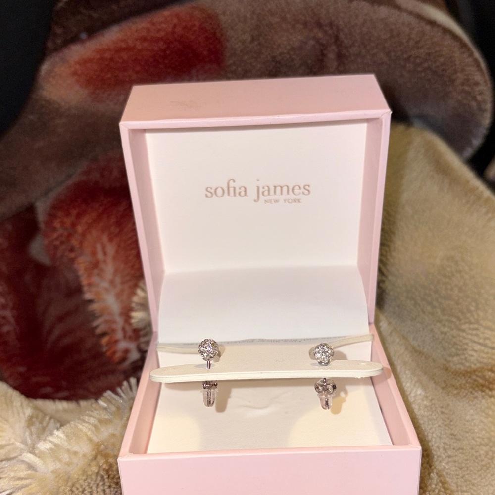 Silver Earrings